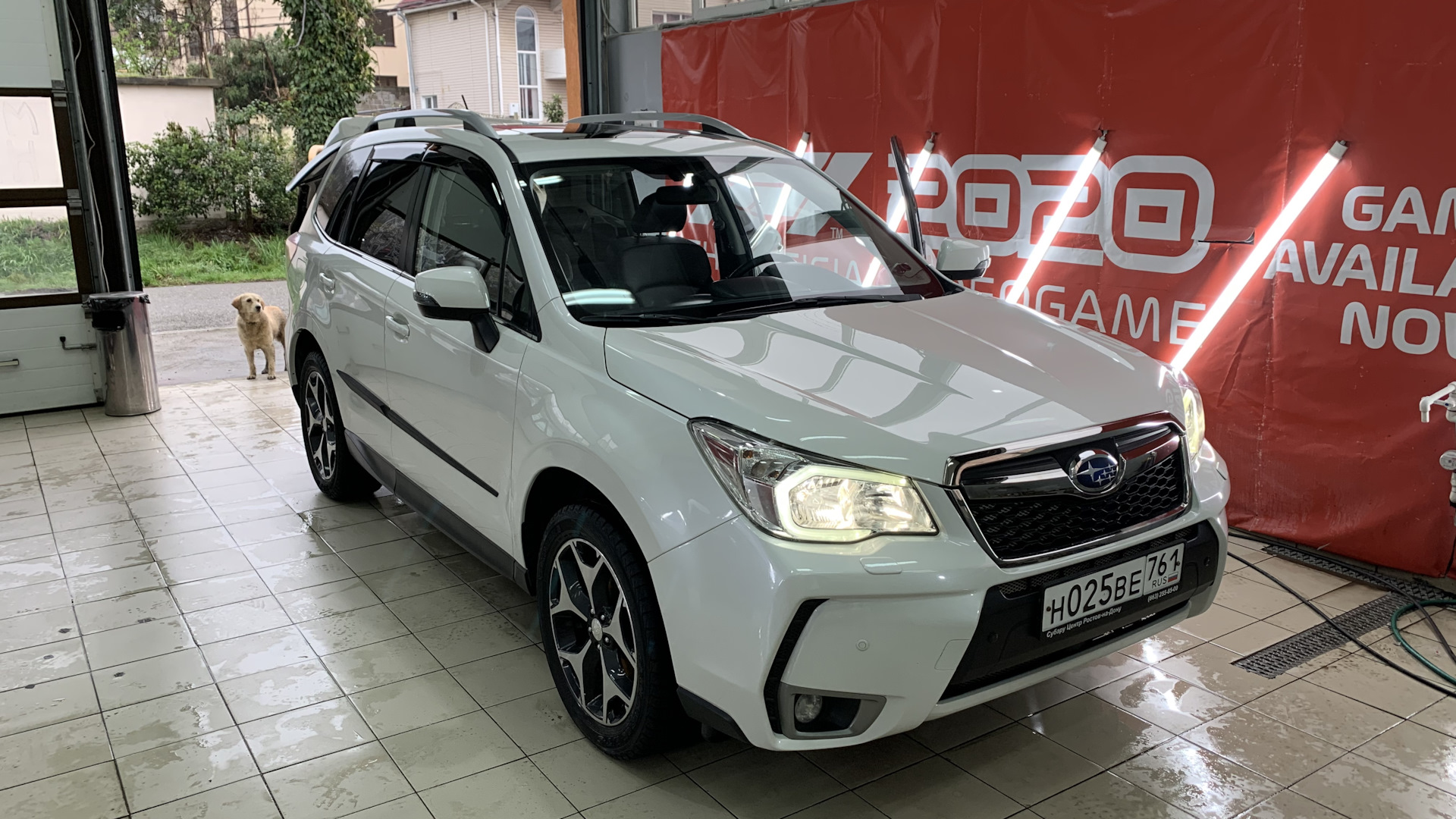 Subaru Forester (SJ) 2.5 бензиновый 2013 | GR на DRIVE2