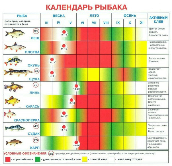 Нужная таблица!Календарь рыбака! — Сообщество «Рыбаки DRIVE2» на DRIVE2