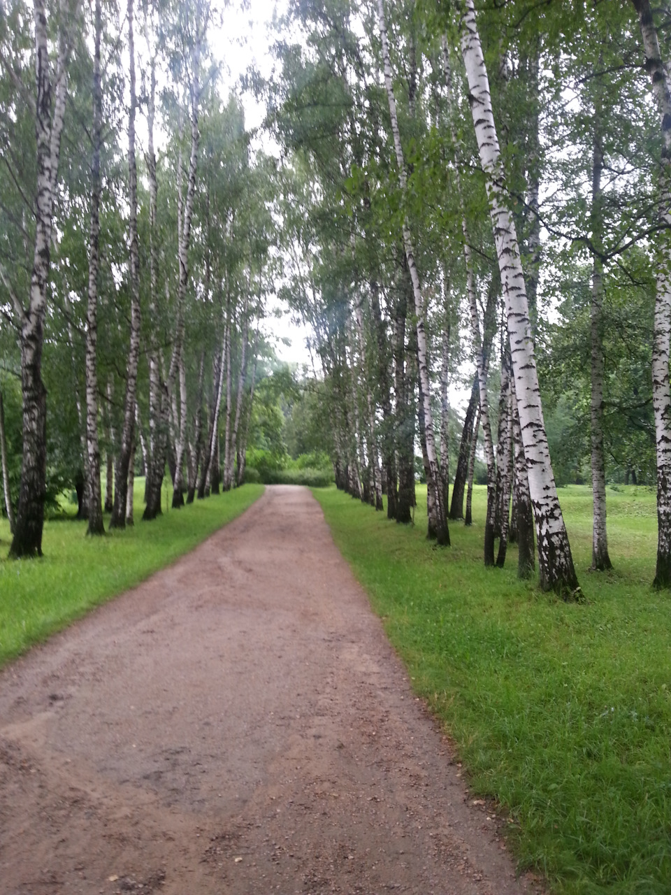 Ясная поляна. Музей-усадьба ясная поляна, деревня ясная поляна. Ясная поляна тульская область толстой. Музей-усадьба л н толстого ясная поляна. Ясная поляна заповедник.