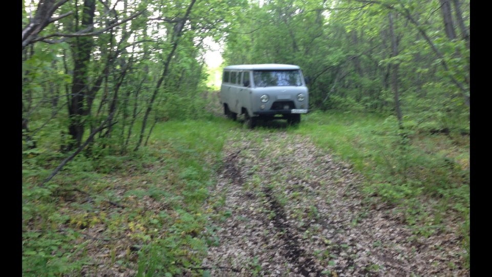Лесной проныра — УАЗ 452, 2,4 л, 2000 года | покатушки | DRIVE2
