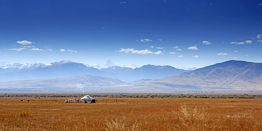 Фото в бортжурнале Infiniti QX70