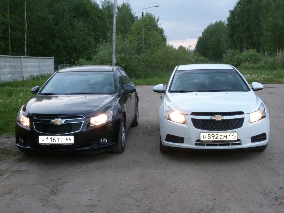 chevrolet cruze фото белый с черным