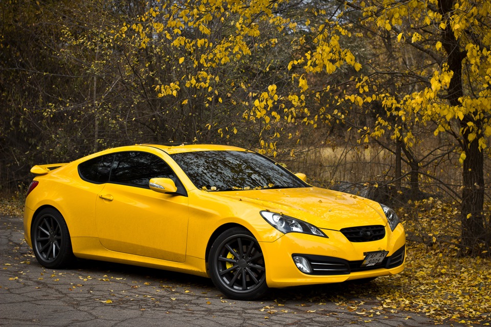 Genesis coupe