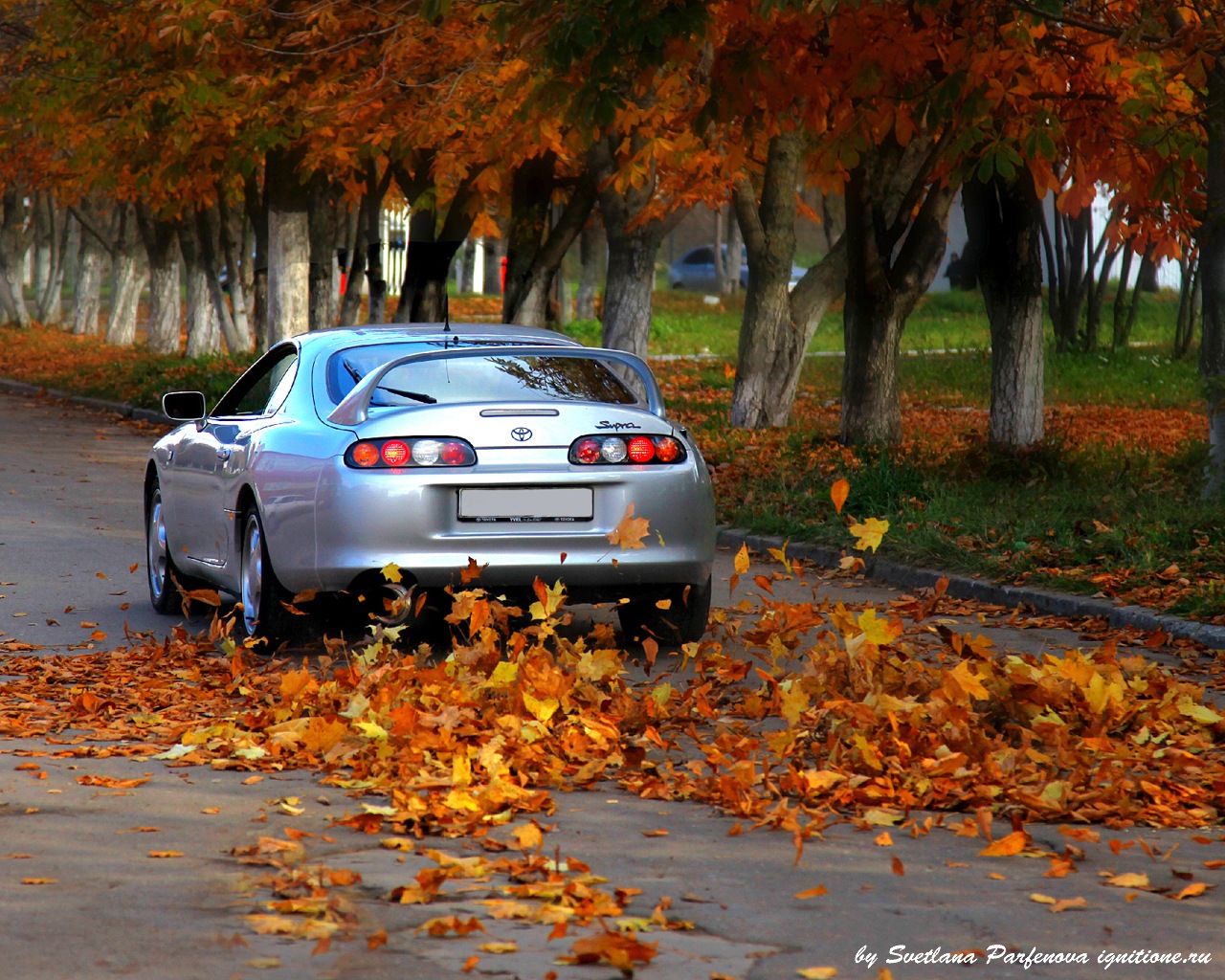 Mitsubishi Lancer 10 в лесу осенью