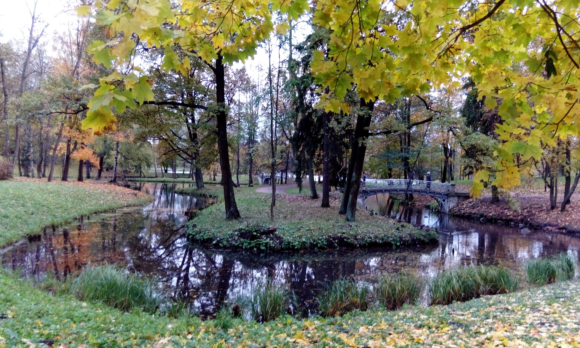 Осенний Петербург .Гатчинский парк