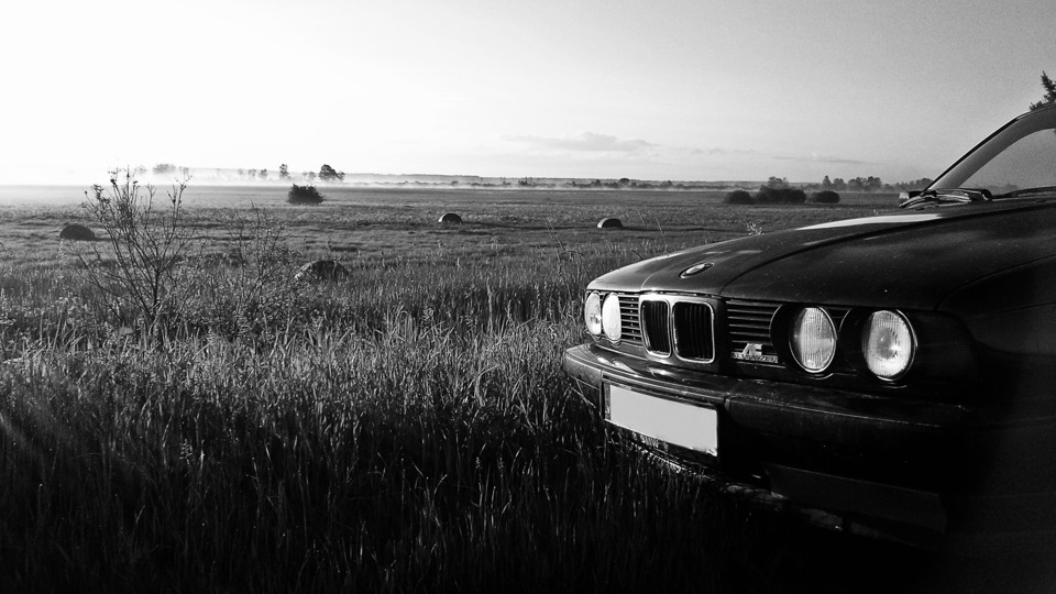 BMW 5 series Green Whale