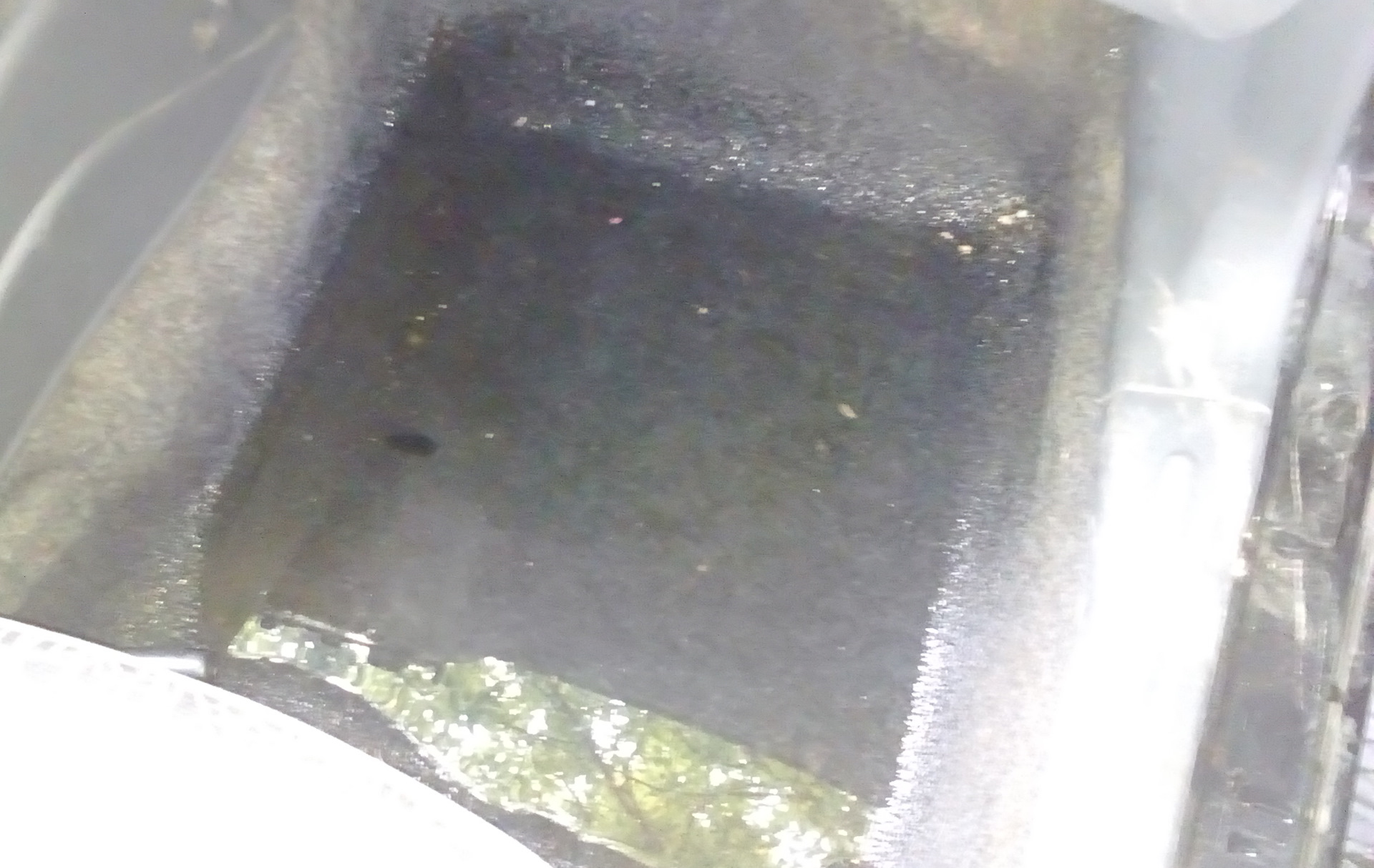 дренажные отверстия лобового стекла ваз 2114. калина вода под водительским ковриком. днище кузова шевроле ланос 1. после дождя вода под ковриками. сливы воды на приоре.