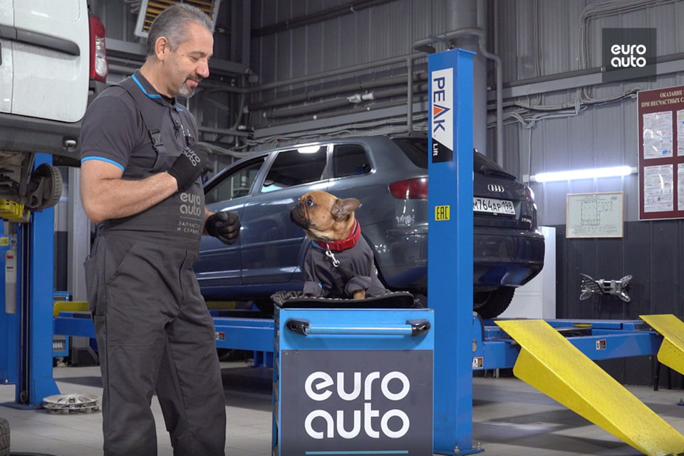 Развал зависит от схождения — EuroAuto на DRIVE2