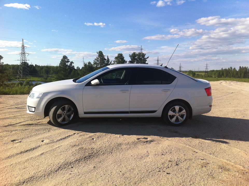 Вставки в бампер — Skoda Octavia A7 Mk3, 1,6 л, 2014 года | стайлинг ...