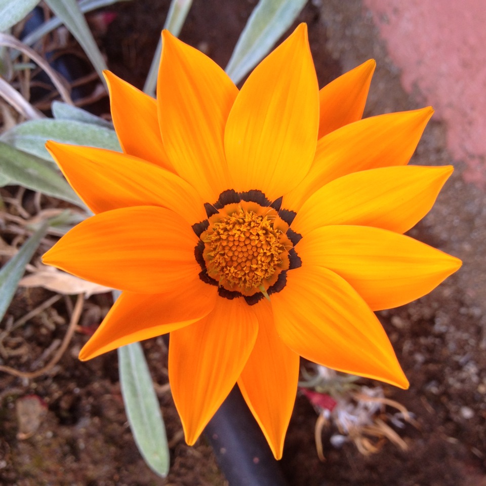 "Ступая по снегу в преддверие весны" — DRIVE2