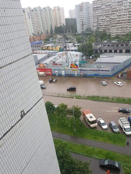 Погода в зеленограде. Зеленоград дождь. Климат Зеленограда. Ветер Зеленоград.