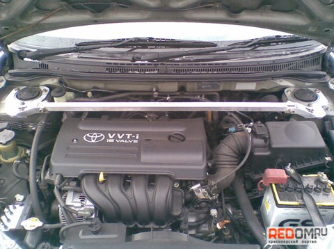 Hood Strut - Toyota Corolla 18L 2003