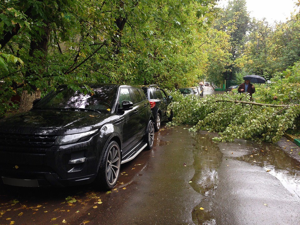 Фото в бортжурнале Land Rover Range Rover Evoque (1G)