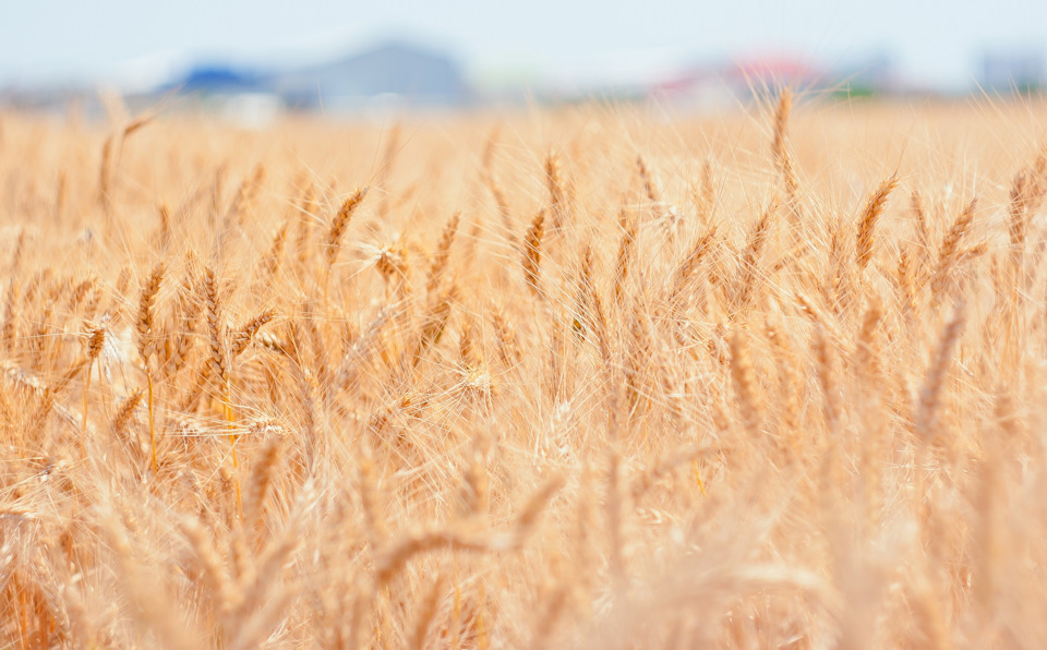 Фото в бортжурнале Saab 9000