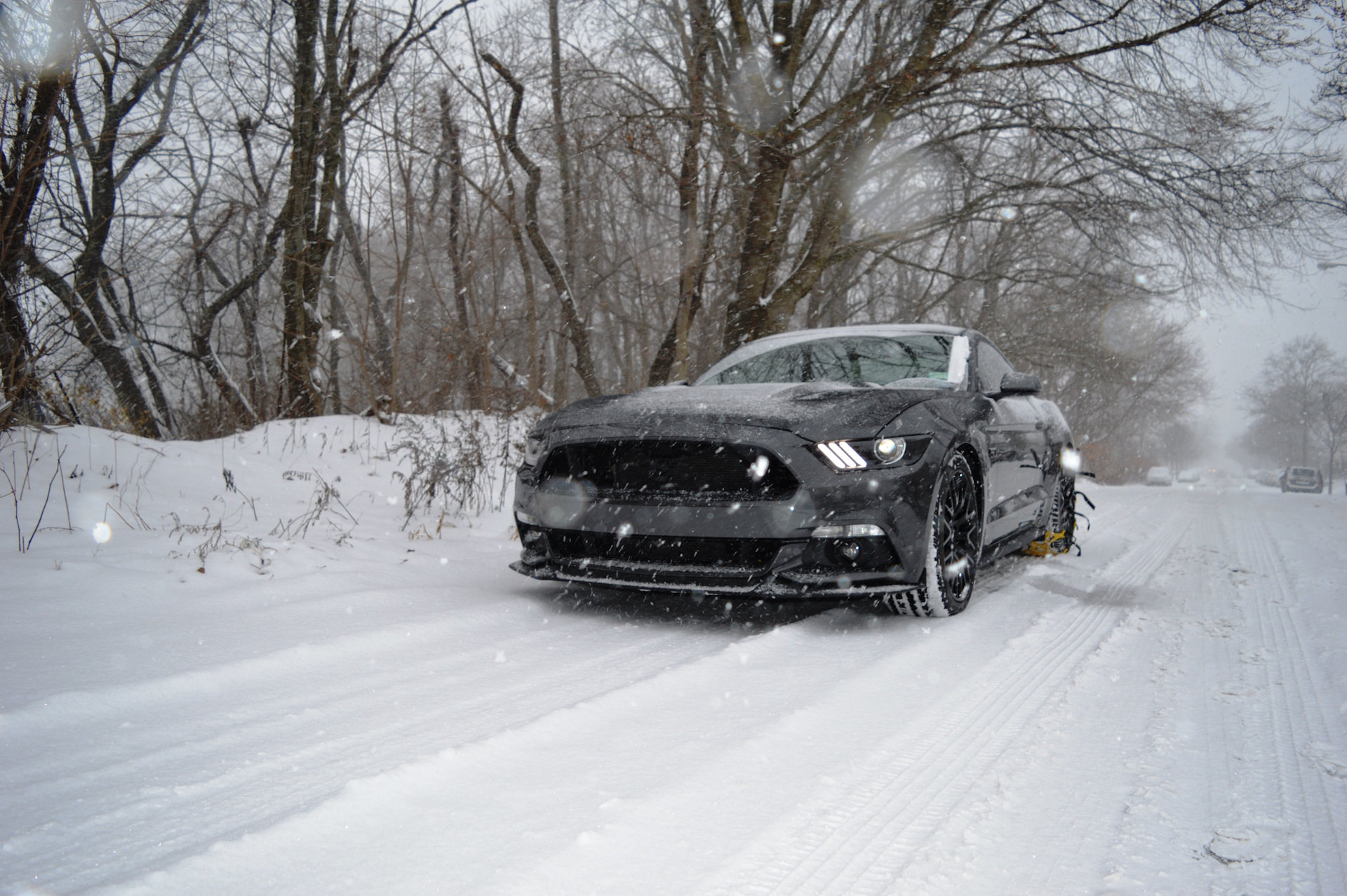 Ford Mustang 2013 лес зимний