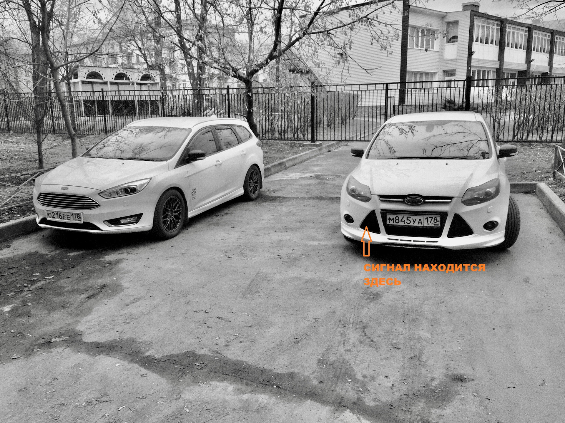 Ремонт звукового сигнала. — Ford Focus III Wagon, 1,6 л, 2013 года |  поломка | DRIVE2