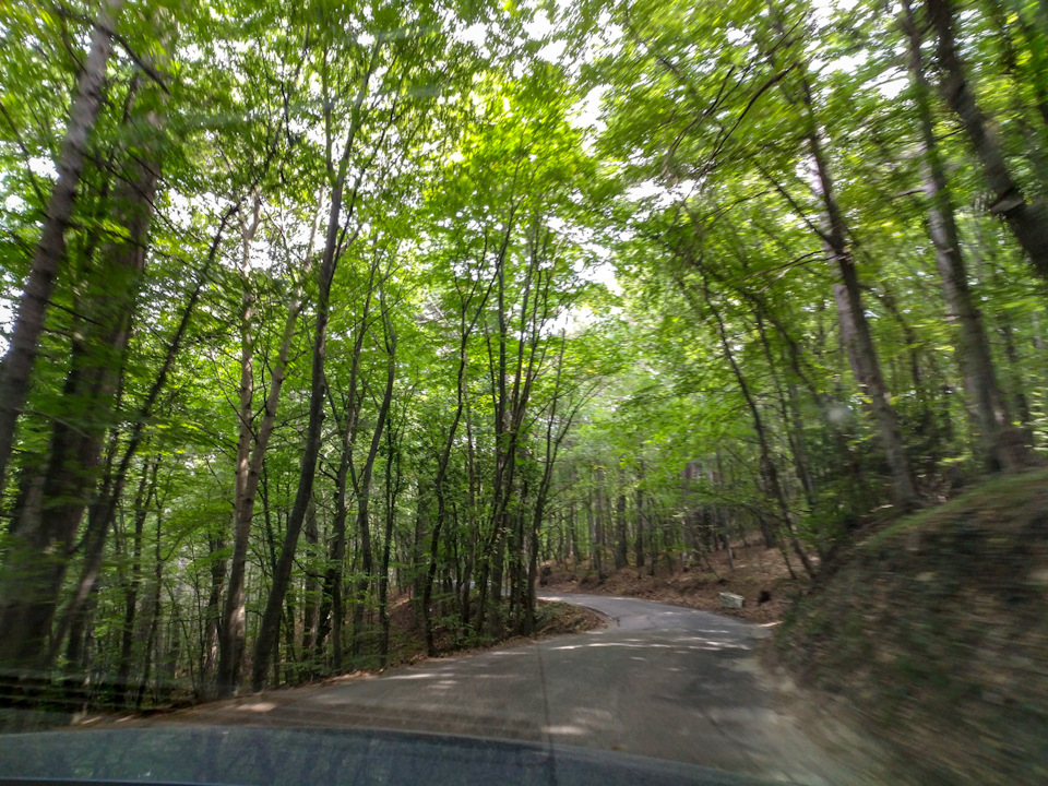 Дорога разбитая, попадаются ямы размером и глубиной в колесо, надо быть аккуратным. А вокруг дикий лес. — Audi A5 (1G)