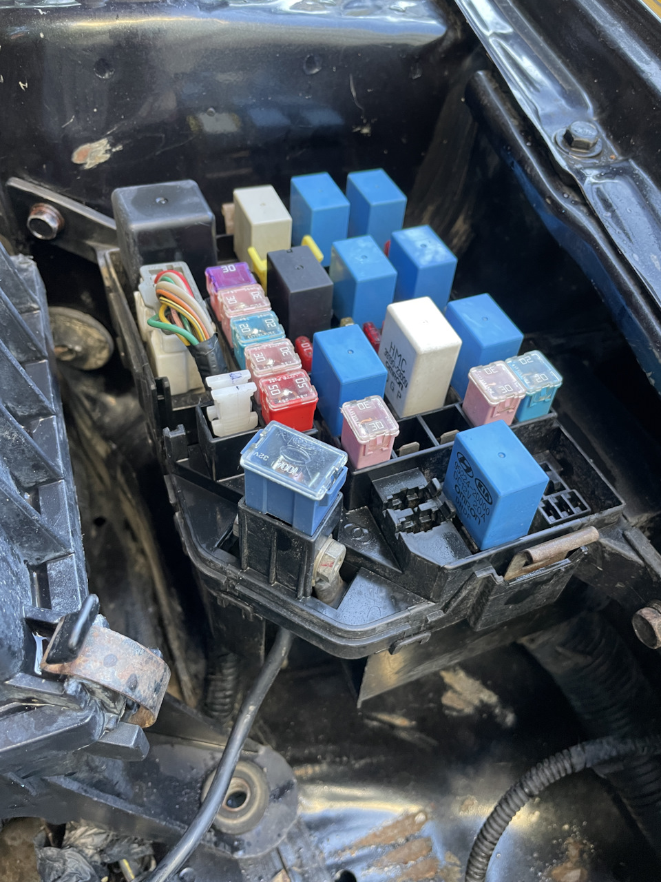 Подкапотка акцентов словно грязная по жизни. — Hyundai Accent (2G)