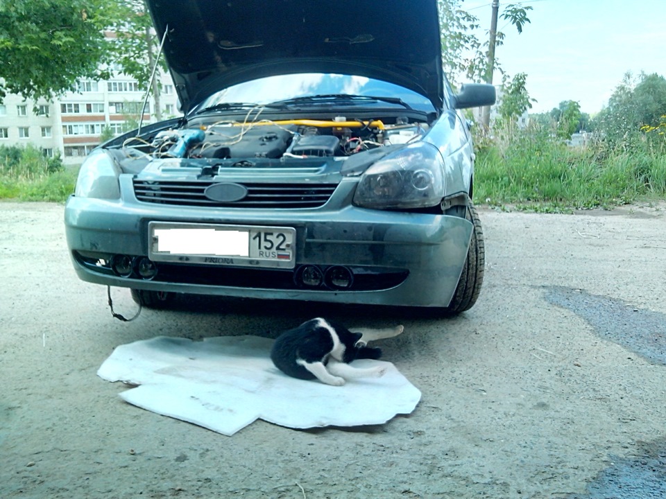 4 ПТФ в каждой 4300К — Lada Приора седан, 1,6 л, 2011 года | нарушение ...