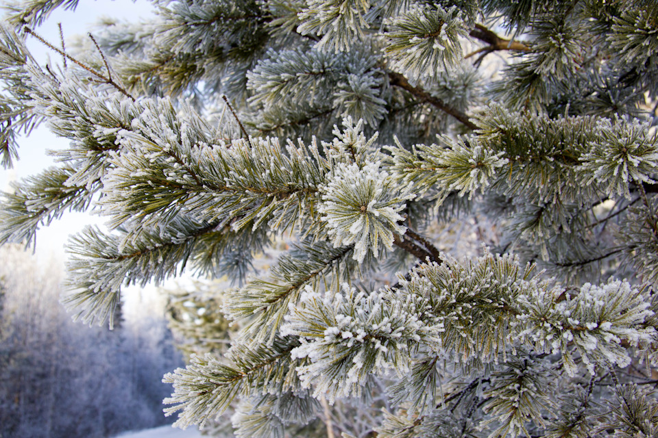 Фото в бортжурнале Mitsubishi Pajero (4G)