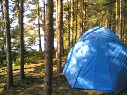 какая рыба ловится в реке медведица. Смотреть фото какая рыба ловится в реке медведица. Смотреть картинку какая рыба ловится в реке медведица. Картинка про какая рыба ловится в реке медведица. Фото какая рыба ловится в реке медведица какая рыба ловится в реке медведица. Смотреть фото какая рыба ловится в реке медведица. Смотреть картинку какая рыба ловится в реке медведица. Картинка про какая рыба ловится в реке медведица. Фото какая рыба ловится в реке медведица