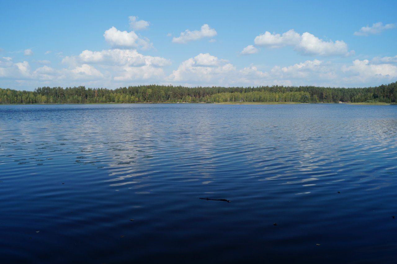 Дубеи