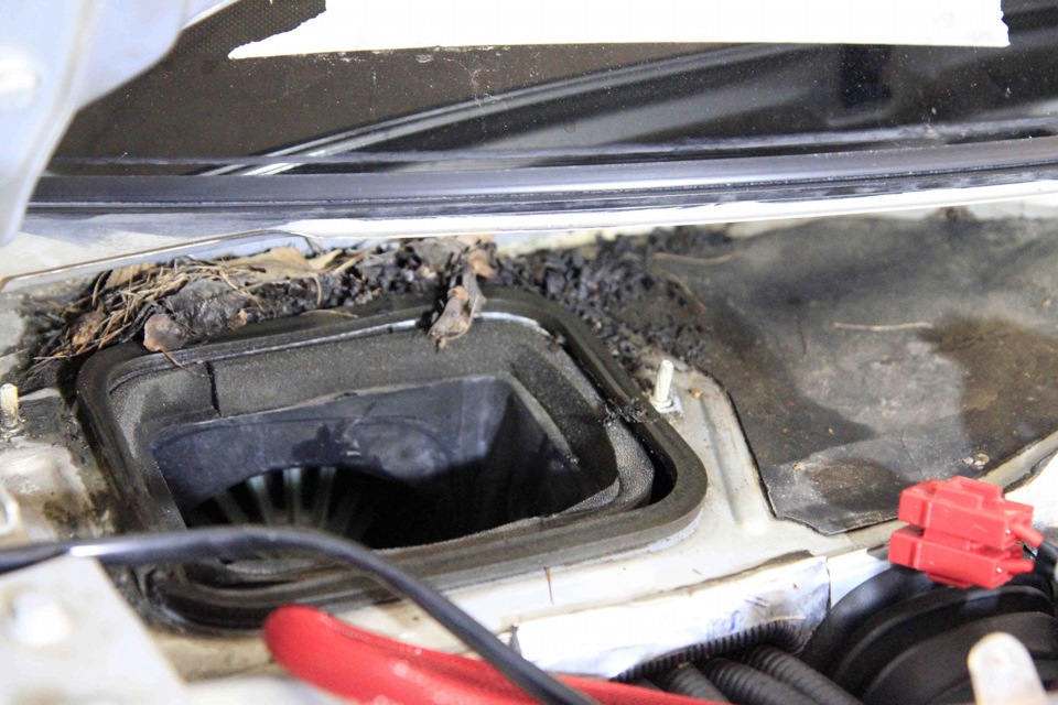 78eeca8s 960 ΠΠ°ΠΊΠ»Π°Π΄ΠΊΠ° ΠΏΠΎΠ΄ ΠΊΠ°ΠΏΠΎΡΠΎΠΌ ΠΊΠ°ΠΊ Π½Π°Π·ΡΠ²Π°Π΅ΡΡΡ