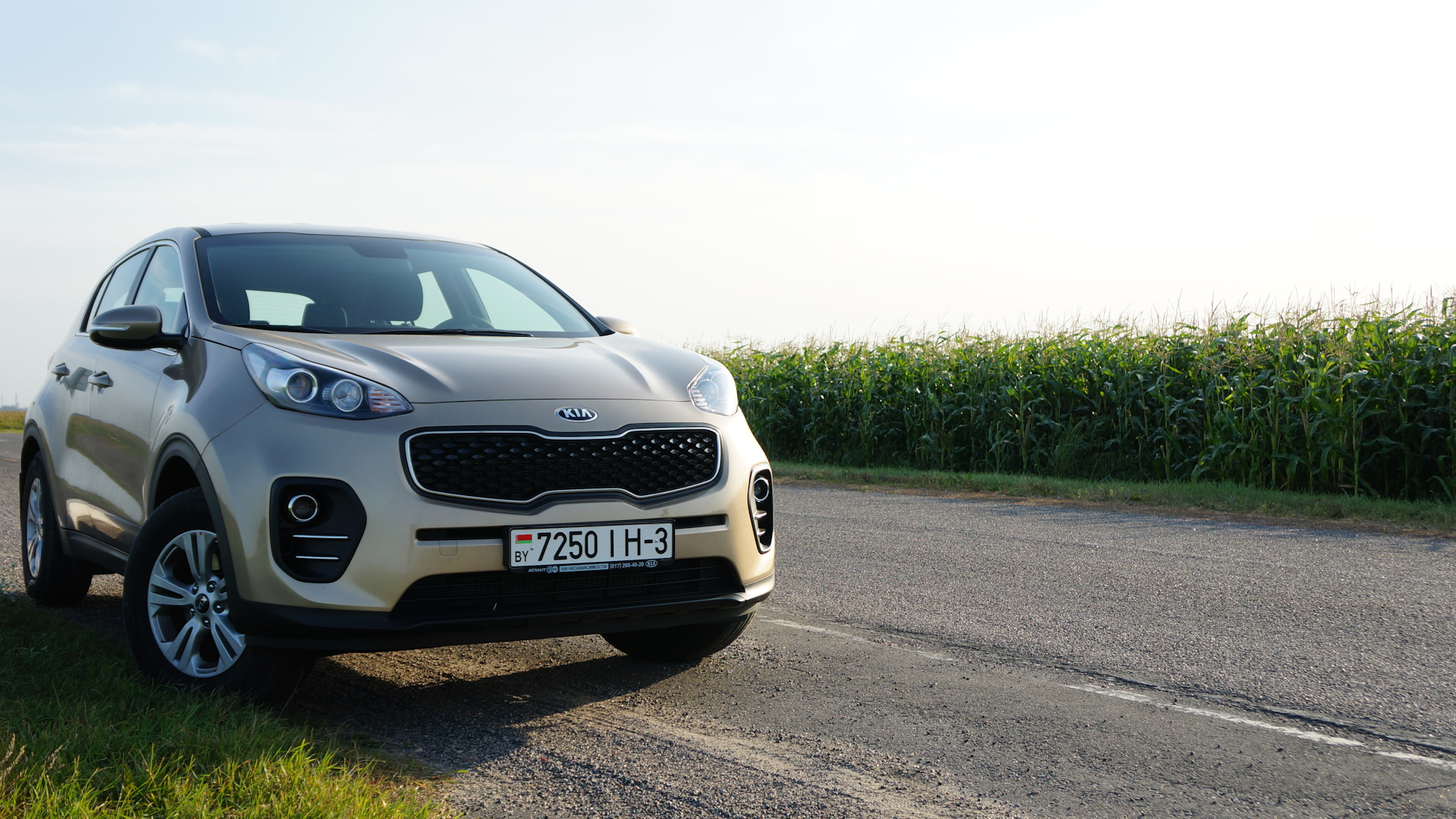 Киа спорт цена. Kia Sportage 2017. Кия Спортейдж 2017. Kia Спортейдж 2017. Kia Sportage 2023.