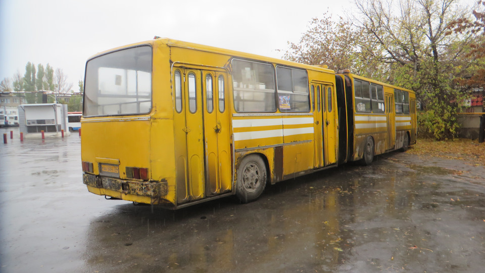 Автобус с гармошкой фото желтый