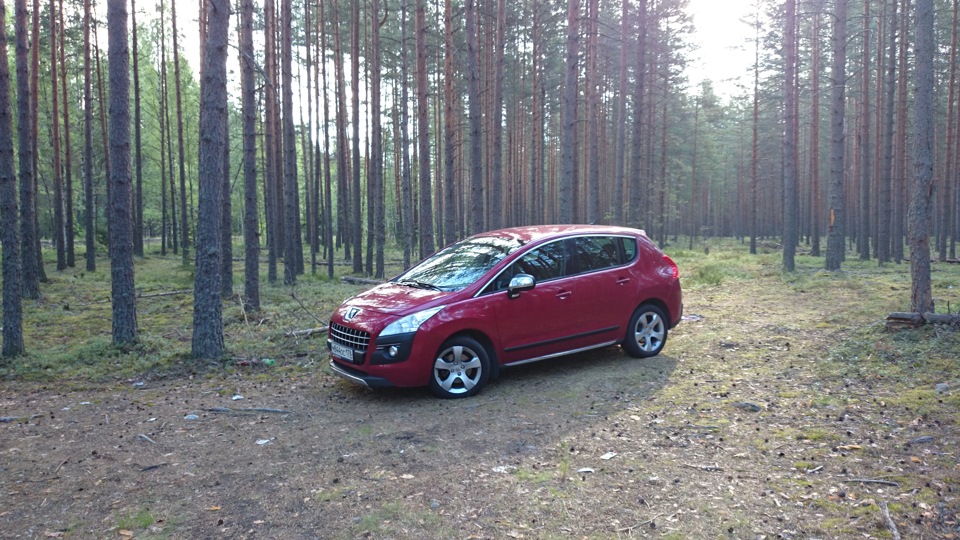 не спалось, уехал в лес… — Peugeot 3008 (1G), 1,6 л, 2011 года ...