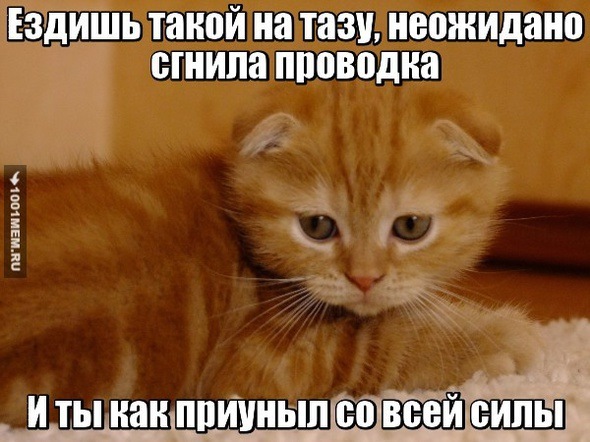 Триада сигнализация на автомобиле