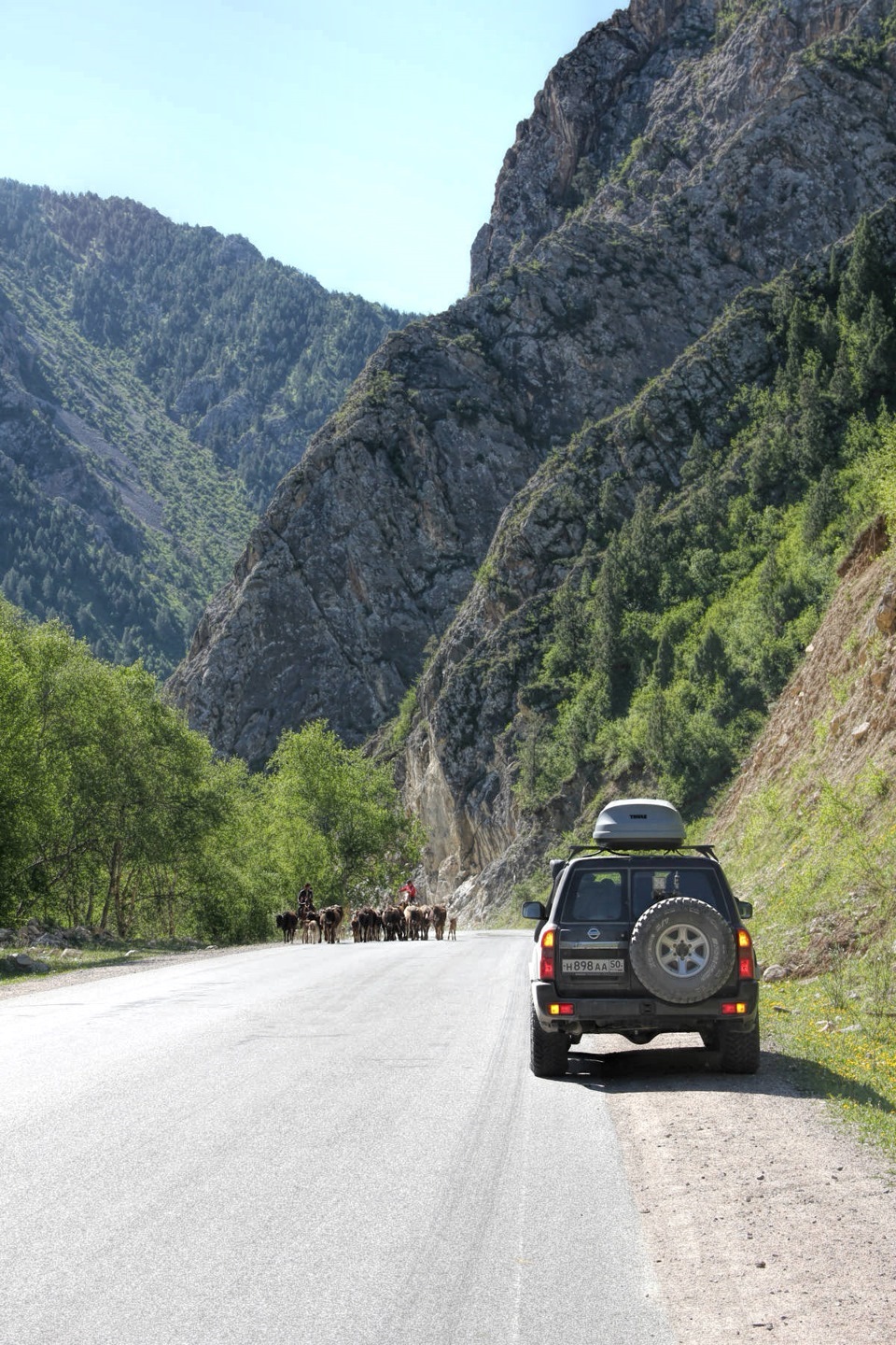 Тянь-Шань — Nissan Patrol (Y61)