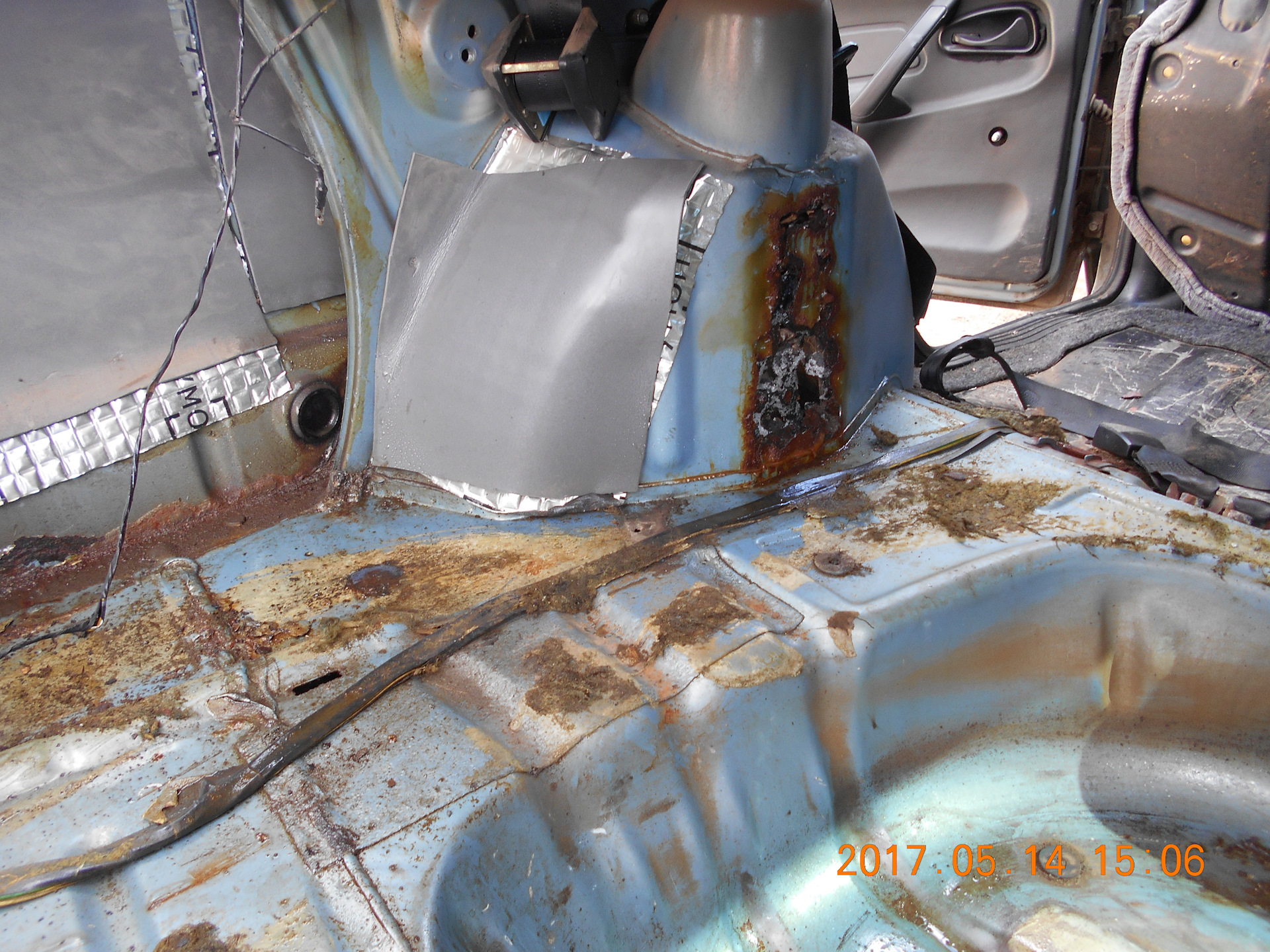 Ржавая калина 1. Ржавая калина 1. Калина 2 ржавеет. Гнилая калина 1. Сгнила калина 1.