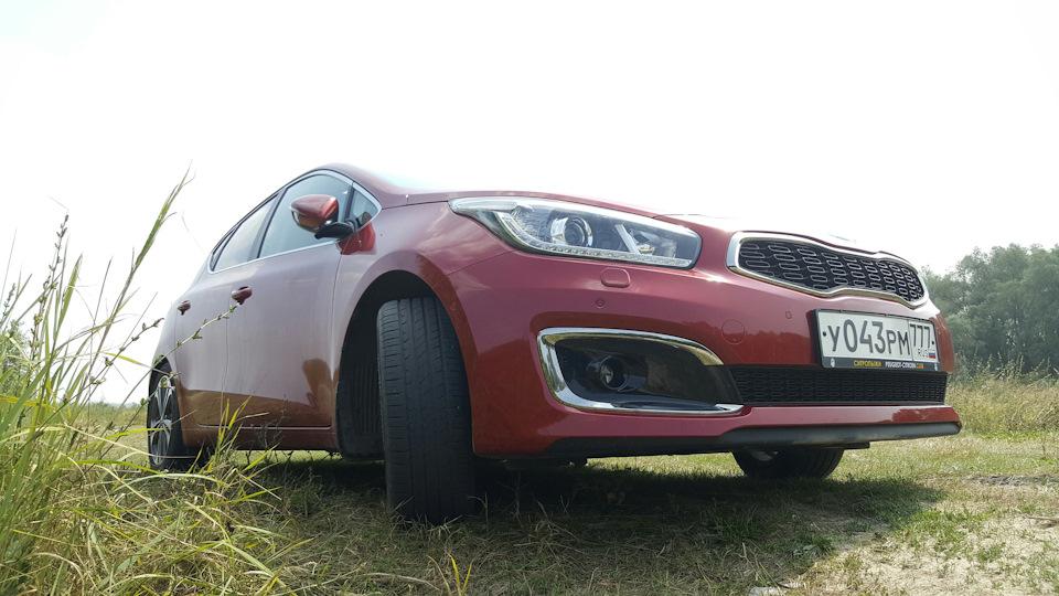 KIA Ceed JDай с ирокезом