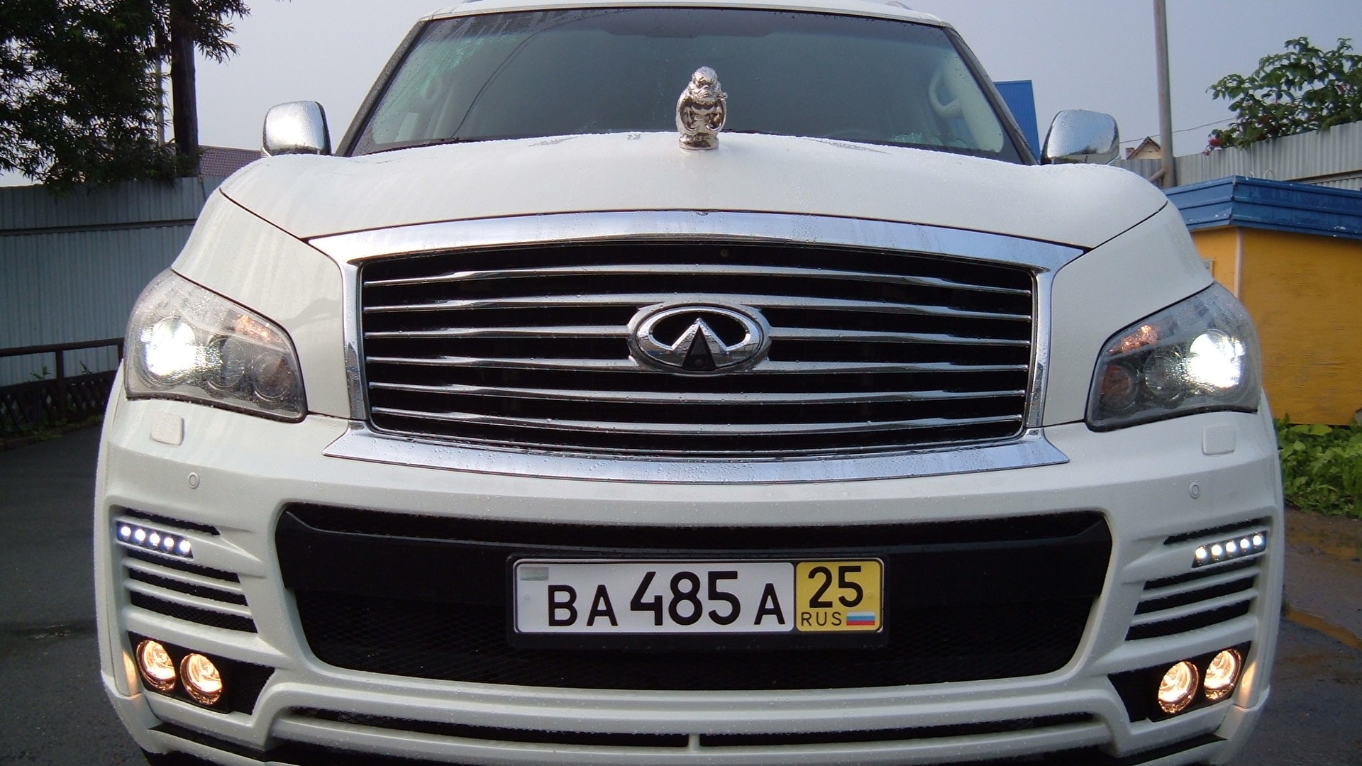 Infiniti QX (3G) 5.6 бензиновый 2012 | на DRIVE2