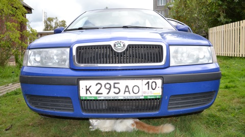 skoda 1.4 bca ремонт и обслуживание skoda 1.4 bca ремонт и обслуживание