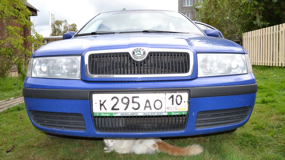 81 — Установка разгрузочного реле на противотуманные фары Skoda Octavia ...