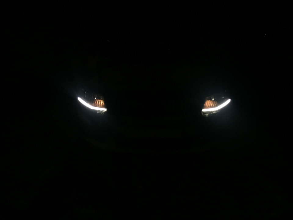 Давил желтизны :) — Skoda Octavia A7 Mk3