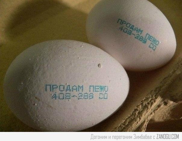 Что такое Пежо при продаже? — Peugeot 308 (1G), 1,6 л, 2012 года ...