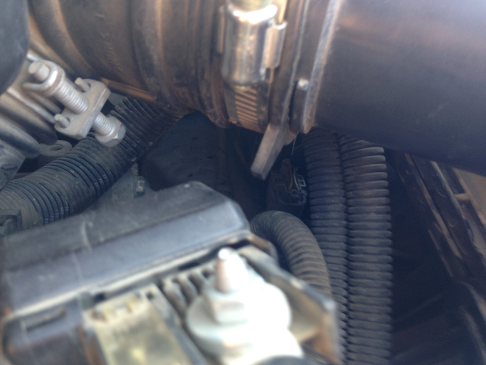 Не заводилась, даже стартер не крутил! — DRIVE2