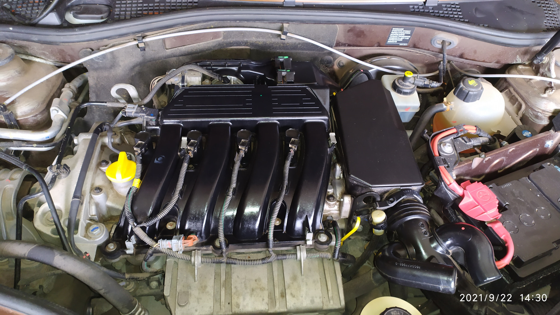 Замена сальника фазорегулятора — Renault Duster (1G), 2 л, 2013 года ...