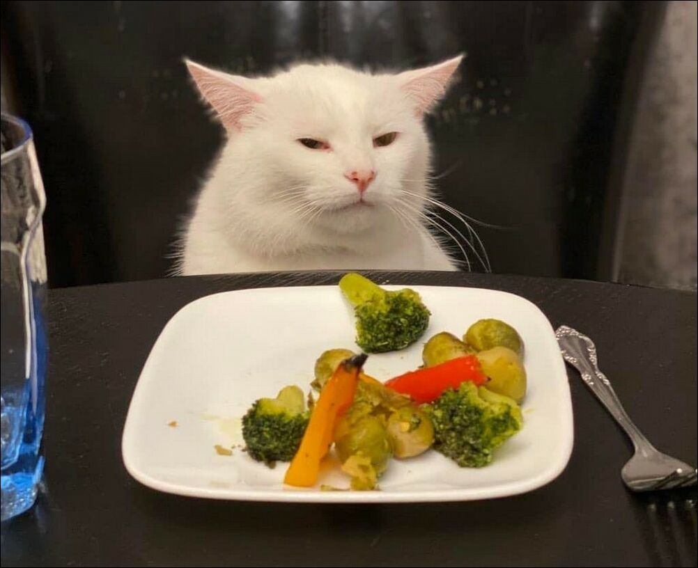 Кота с салатом мем модель для блендера