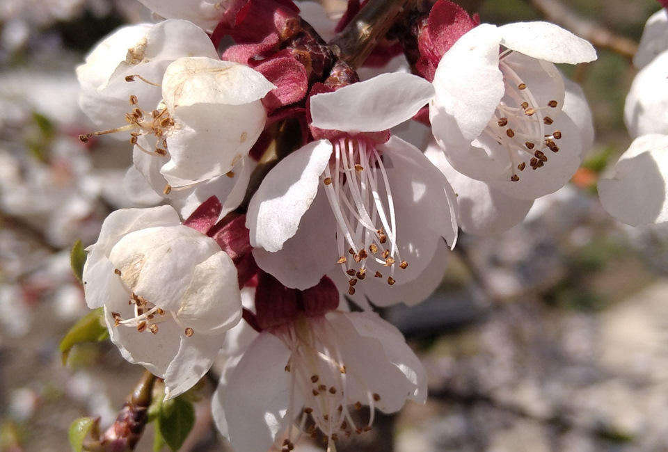сазан на углях на решетке рецепт с фото. Смотреть фото сазан на углях на решетке рецепт с фото. Смотреть картинку сазан на углях на решетке рецепт с фото. Картинка про сазан на углях на решетке рецепт с фото. Фото сазан на углях на решетке рецепт с фото сазан на углях на решетке рецепт с фото. Смотреть фото сазан на углях на решетке рецепт с фото. Смотреть картинку сазан на углях на решетке рецепт с фото. Картинка про сазан на углях на решетке рецепт с фото. Фото сазан на углях на решетке рецепт с фото