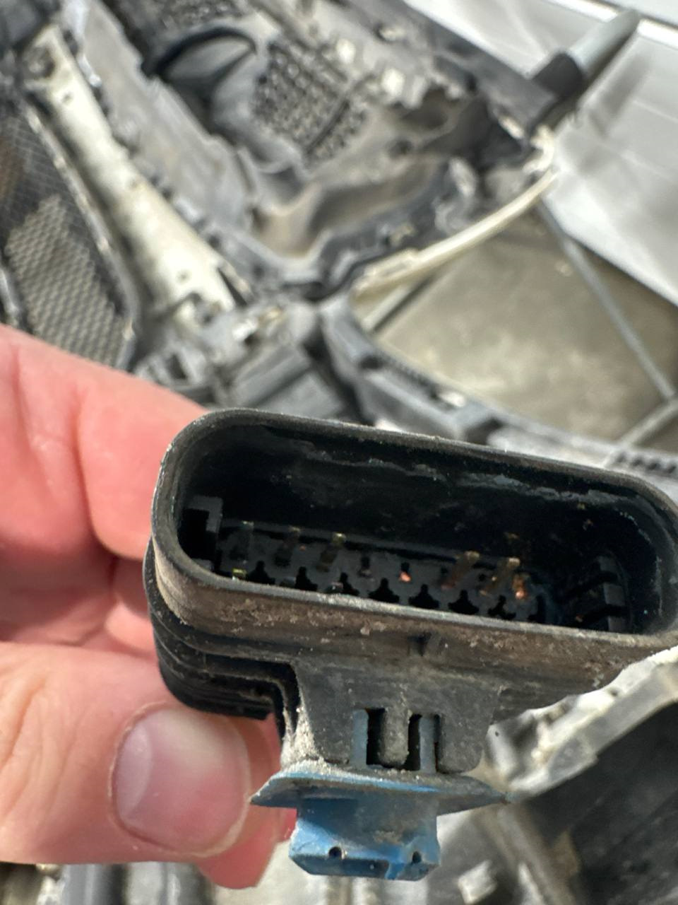 Фото в бортжурнале Mercedes-Benz C-Class (W205)