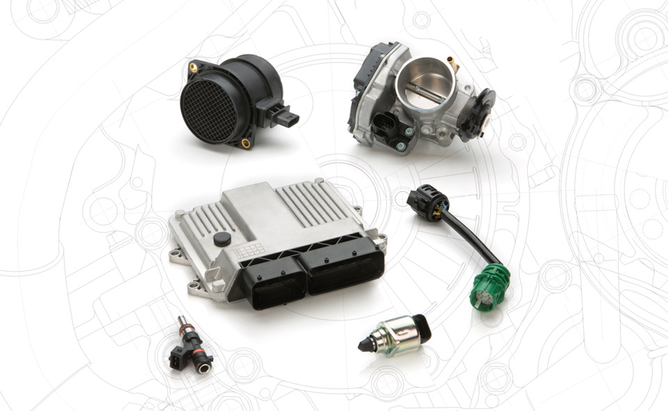 Meat&Doria: отзывы, цены, фото