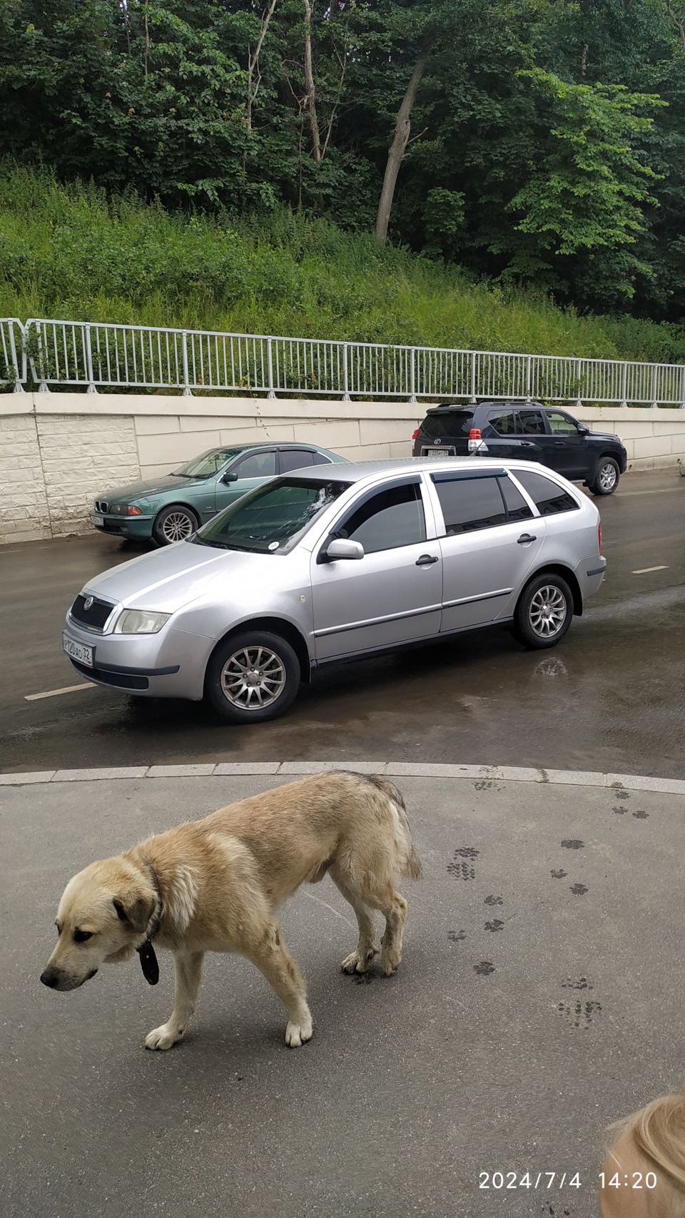 Фото в бортжурнале Skoda Fabia Combi Mk1