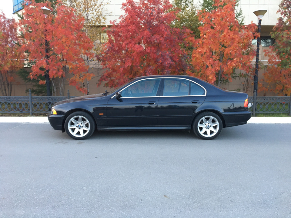 Фото в бортжурнале BMW 5 series (E39)