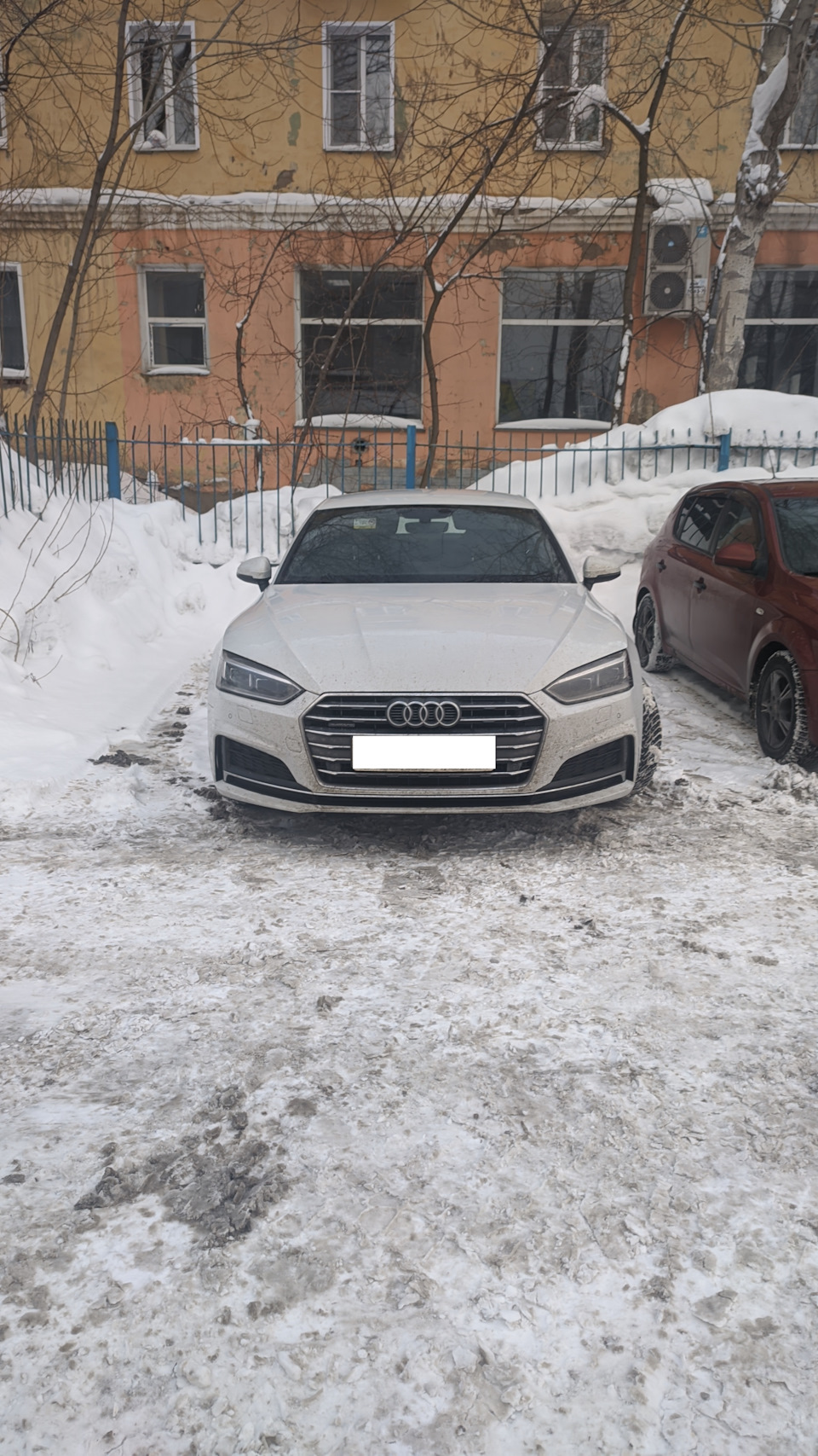 Автоподбор Киров осмотр AUDI A5(F5) 2.0(DES)-190 h.p — DRIVE2