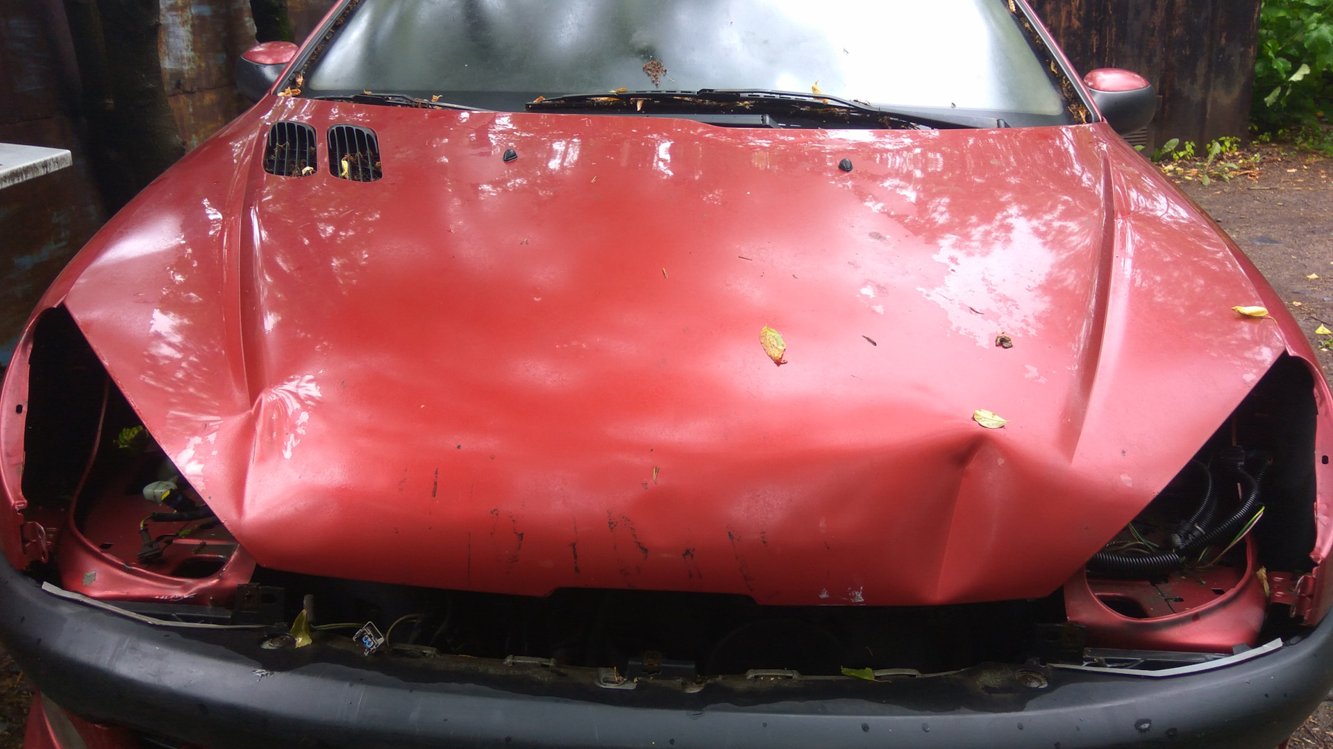 Peugeot 206 1.4 бензиновый 2001 | малыш Пыж на DRIVE2