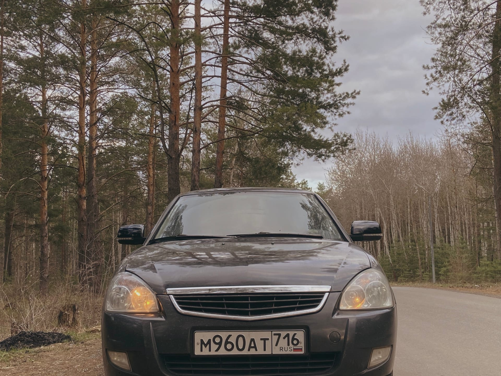 SE зеркала и se повторители — Lada Приора седан, 1,6 л, 2008 года ...